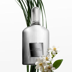 Tom Ford Grey Vetiver Parfum 100ML