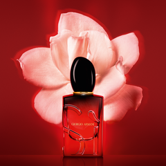 ARMANI Sì Passione Intense (2024) 100ML